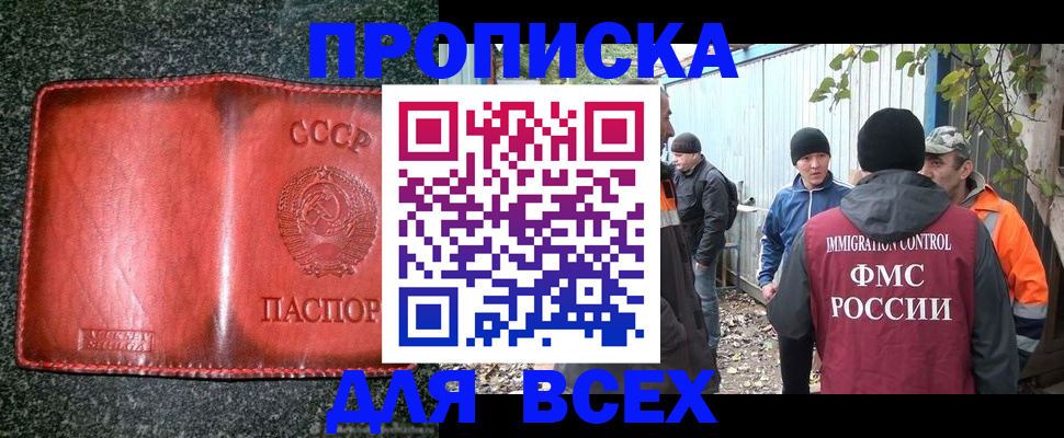 временная регистрация поиск в Судогде